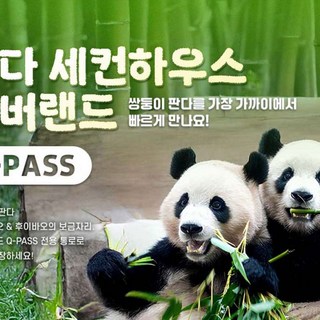 [용인] 에버랜드 Q-PASS: 판다 세컨하우스