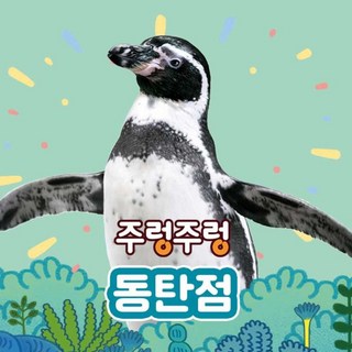 [경기] 주렁주렁 실내 동물원 동탄점