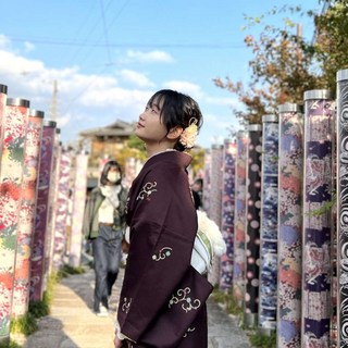 [교토] 오사카 출발 1일 교토 버스투어 [아이트립]