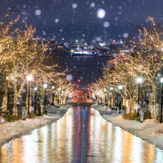 [홋카이도] 북해도 겨울☃️하코다테 에어텔 / 일화출발 / 4박5일 / 오누마 프린스호텔 / 제주항공