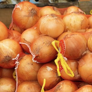 국내산 양파 당일발송 재구매율100%, 대-3kg(적당한크기)요리용, 1개