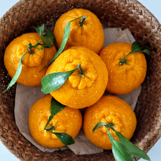 [제주직송] 당도선별 선물용 한라봉 특품, 1박스, 대과 3kg