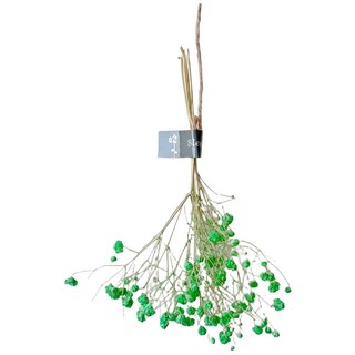 ONEDAY 乾燥花束/牆掛裝飾, 綠色