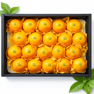 [명절선물] 제주도 레드향 과일 선물세트 제철 설 설날 명절 세트 선물용, 1개, 2.5kg내외 (중과)