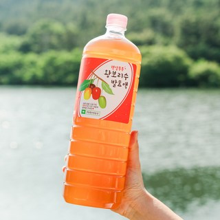 2년숙성 보리수발효액 보리수효소 보리수청 엑기스 가정용 아그데뜰, 2개, 1.8L