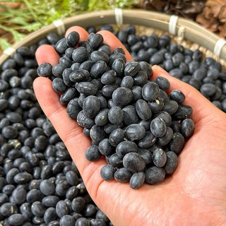 25년 국산 햇 서리태 백태 새바람콩 검정콩 약콩 - 서리태, 1박스, 1kg