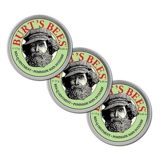 버츠비 레스큐 오인트먼트 15g 3개, 허브향