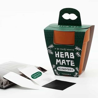 허브 로즈마리 씨앗 씨앗화분 초미니화분 53757ea 1(pc)