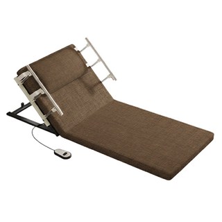 비브랜드 가정용 전동침대 리클라이너 모션베드, 브라운