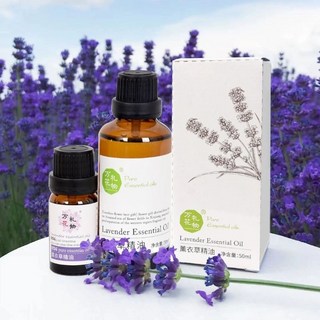 北海道製造 薰衣草蕎麥快眠枕 特大 48x32cm, 1個, 薰衣草精油15ml(*2瓶)