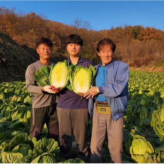 괴산클라스 김장 절임배추 절인배추 예약 20kg, 1박스, 12월04일(목), 0