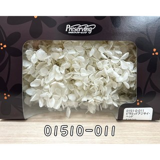 花藝夢*日本大地農園-不凋繡球花-01510金字塔繡球 不凋花 永生花 乾燥花 (以克計價), 011, 白色