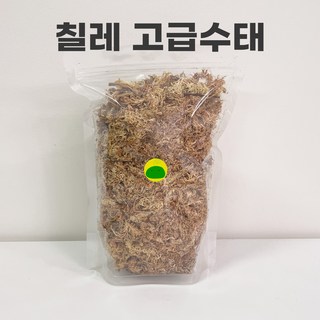 칠레산 고급 수태 30g 1개