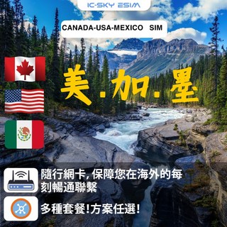 洲際電通 日流量型 實體網卡