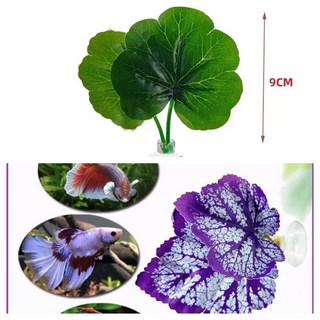 邦邦水族 鬥魚休息室 鬥魚床 鬥魚休息產卵葉 鬥魚築巢 鬥魚吐泡 鬥魚繁殖 半月鬥魚 馬尾鬥魚 冠尾鬥魚 鬥魚躲藏, 1個, 質感紫色