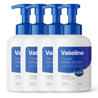 메르헨트 바세린 세라마이드 핸드워시 500ml x 4개 손세정제 물비누 퍼퓸 향기좋은 리필