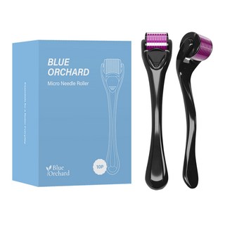 블루오차드 더마롤러 mts 일반형 0.25mm, 10개, 블랙