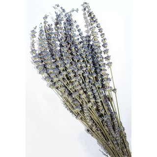壹樓花藝雜貨 乾燥薰衣草花束 (50g裝 長度約40cm) 天然乾燥花 居家裝飾 薰衣草香氛, 薰衣草