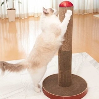 가리가리 폴 스크래쳐, 1개