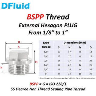 외부 육각 플매트 카펫 러그 NPT BSPT BSPP 스레드 파이프 피팅 1/8 1/4 3/8 1/2 3/4 인치 304 316 스테인리스 스틸 Swagelok 교체 1 pc, [03] BSPP Thread, [02] 316 stainless steel, [06] 1", 1개