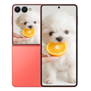 삼성전자 갤럭시 Z 플립7, 256GB, 컬러 코랄레드 Coral Red