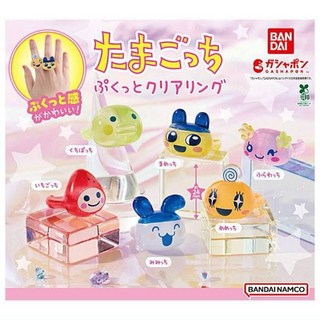 Tamagotchi塔麻可吉 麻美吉 美眉吉 草莓吉 花花吉 透明戒指 日本扭蛋玩具