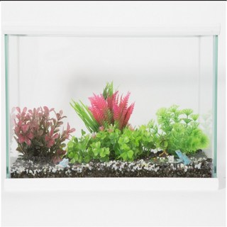 수족관 초보어항세트 엘린 슬림어항 45cm, 1개