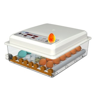 全自動保溫孵化機 110V 雙電源 不挑蛋種 可當保溫箱 孵蛋器 孵蛋機 孵化箱, 全自動36枚, 雙電款 孵蛋機