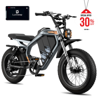 Luckeep 2025 자토바이 삼성배터리 고출력 펫바이크 출퇴근용 M5-Max, 그레이, 알루미늄