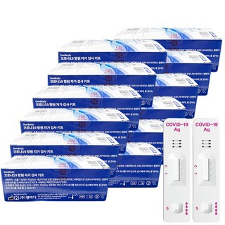 젠바디 코로나19 신속항원 자가진단 검사키트, 24개, 2개입