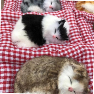 잠자는 고양이 리얼펫 인테리어 소품 활성탄 제습, 갈색고양이