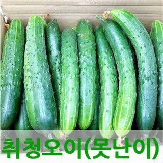 국내산 오이 실속형 못난이 취청오이 1kg 2kg 3kg 4kg 5kg 10kg, 1개, 못난이 취청 1kg
