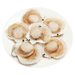 (배터짐) 대사이즈 반 하프 가리비 반가리비 5/6미 3.6kg(일요일&당일발송), 1개, 3.6kg