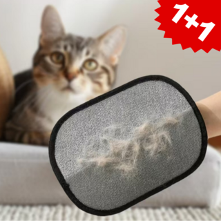 다담다담 고양이 털제거 글러브 장갑, 2개, 블랙