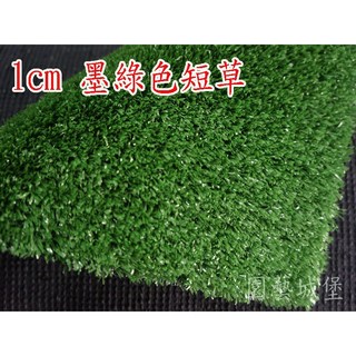 【園藝城堡】人工草皮 草高1cm(寬100cm) 每單位長30cm 塑膠草皮 人造草皮, 1個