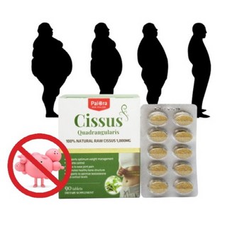 파이오라 시서스 알약 캡슐 유 1000mg 90정 기농 1병 가루 분말 뉴질랜드 식약처 인증 시서스 가루 100% 인도산 시저스 씨서스, 1개