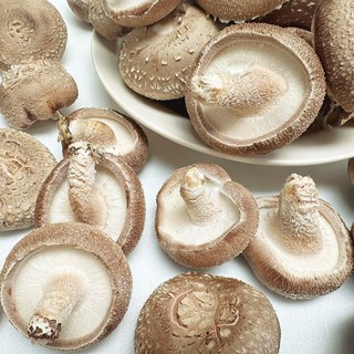 알뜰 표고버섯, 1개, 1kg