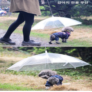 우산/비오는날 비옷 애견 갓샵 용품 우비 산책 강아지, 1개