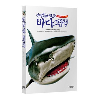 라이카미 진짜 진짜 재밌는 바다 그림책 유아동 학습 지식 백과 (사은품증정)