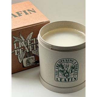 [정품] 리핀 실내 고체탈취제 냄새제거 30분, 300g, 1개