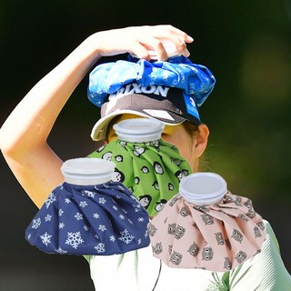 (1+1) 골프 얼음주머니 아이스 스포츠 보냉백, 블루(9인치), 핑크(12인치), 2개