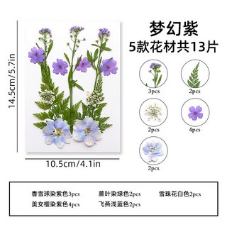 【貼臉壓花系列】花包組合 真花壓花 永生花 森林系少女寫真 壁畫 DIY水晶滴膠 乾燥花 植物標本, 7.夢幻紫