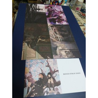 【八百萬堂】文豪野犬 / 明信片/雙面長型/10.5公分X18.5公分/八百萬堂, 1個