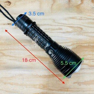 潛鯨 潛水手電筒 水下手電筒 夜潛 洞潛 露營 野溪 打魚 漁獵 自由潛水 水肺 潛水, 手電筒-小（白光無電池）