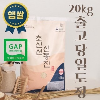 당일도정 오늘도정 즉시배송 GAP인증 신선한 신동진 20kg 단일품종 25년 햅쌀, 1개, 상등급