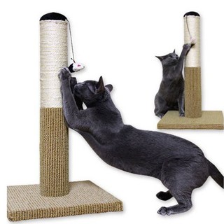 펫모닝 츄러스 스크래쳐 기둥형, 1개