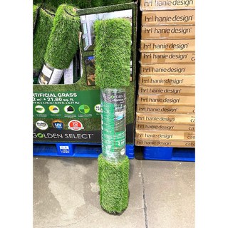台中小蜜蜂美式賣場代購 人造草皮 草皮 草地 1.14 X 1.76公尺, 1個, 貨運宅配
