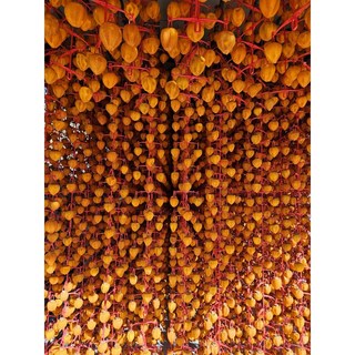 직접 농사지은 지리산 산청 곶감 선물세트 35개 1.8kg 42개 1.8kg 곶감말랭이 1kg, 1세트