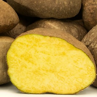 [건강우수농법] 산지직송 명품 하늘마 열매마, 1개, 5kg