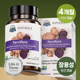라이프인팜 파비플로라 흑생강 1000mg 장용성 120비건캡슐 4개월분 추출물, 1개, 120캡슐